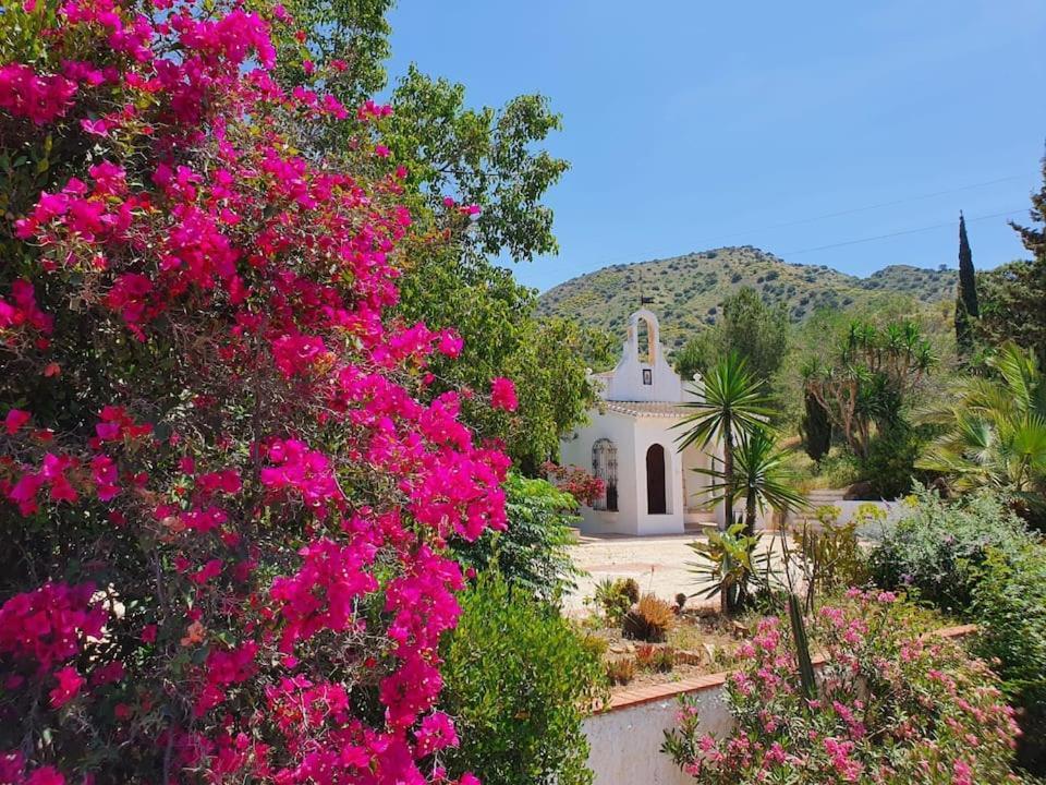 La Barranca De La Barca Bed & Breakfast Alora Exterior foto